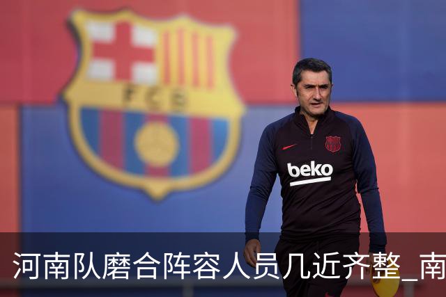 河南队磨合阵容人员几近齐整 南基一剑指中超前六